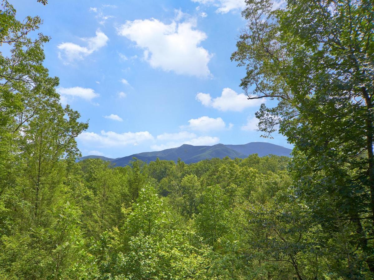 Dew South Villa Gatlinburg Ngoại thất bức ảnh